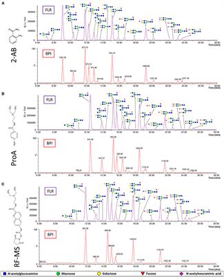 Comparison of 2-Aminobenzamide, Procainamide and RapiFluor-MS as Derivatizing Agents for High-Throughput HILIC-UPLC-FLR-MS N-glycan Analysis